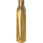 Lapua 22-250 Remington brass