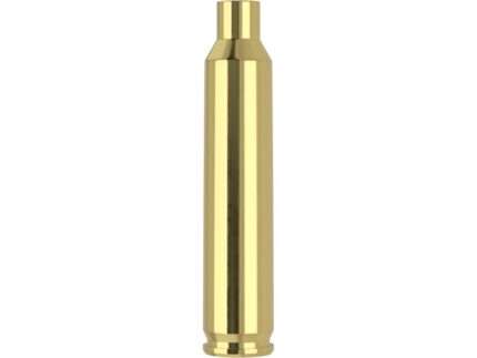 Nosler 204 Ruger brass bag of 250
