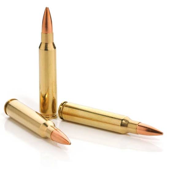 Sierra MatchKing 77 grain .223 match bullets
