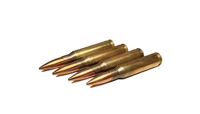 Sierra MatchKing 168 grain .308 hollow point bullets