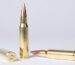 best .308 168 grain hollow point bullets for sale online