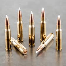 Nosler AccuBond 175 grain .308 hollow point bullets