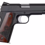 Dan Wesson Guardian Pistol
