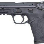 Smith & Wesson M&P Shield M2.0 EZ 380 ACP Pistol