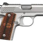 Kimber Micro 9 Raptor Pistol