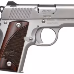 Kimber Micro Pistol