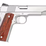 Dan Wesson Razorback Pistol