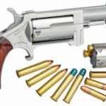 North American Arms Sidewinder Revolver with 22 WMR Cylinder