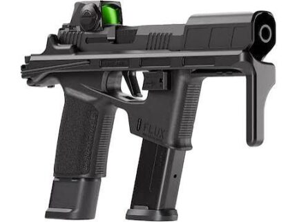 Sig Sauer P365 Flux 9mm Pistol with Pistol Brace & Red Dot