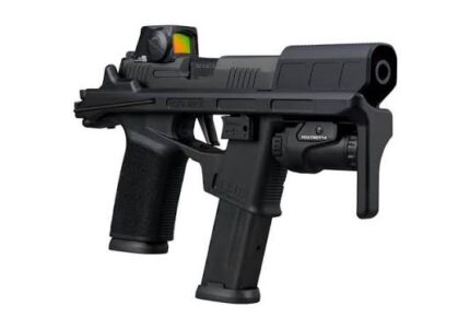 Sig Sauer P365 Flux Kit 9mm Pistol with Pistol Brace & Red Dot