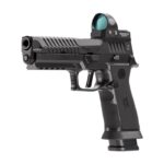 Sig Sauer P320-MAX 2.0 Red Dot