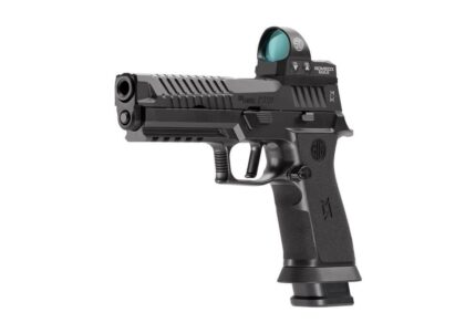 Sig Sauer P320-MAX 2.0 Red Dot
